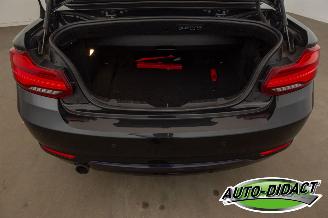 BMW 2-serie 218i Cabrio Clima Navi CARPAS picture 39
