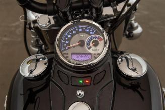 Harley-Davidson  FLSTC picture 9
