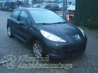 Peugeot 207 207/207+ (WA/WC/WM) Hatchback 1.4 16V Vti (EP3(8FS)) [70kW]  (06-2007/=
10-2013) picture 2