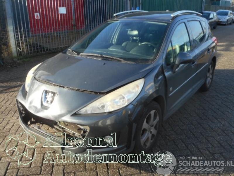 Peugeot 207 207 SW (WE/WU) Combi 1.6 16V (EP6C(5FS)) [88kW]  (06-2007/10-2013)