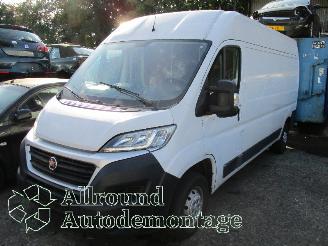 Purkuautot passenger cars Fiat Ducato Ducato (250) Van 2.3 D 130 Multijet (F1AGL411D(Euro 6)) [96kW]  (08-20=
06/...) 2017