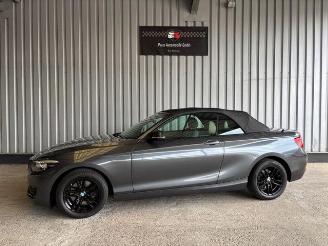 occasion passenger cars BMW 2-serie 0d Advantage Cabriolet LED / Navigation 2018/9