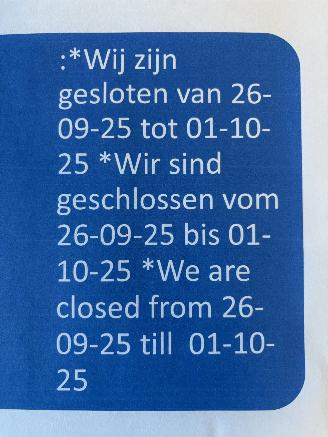 Damaged car Audi  Gesloten van 26-09 tot 01-10-2025 2025/9