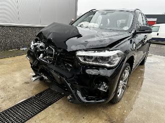BMW X1 SDRIVE20I High Executive picture 15