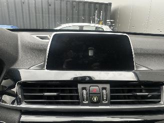 BMW X1 XDRIVE25D High Executive picture 40