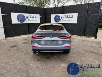 BMW 2-serie 2 serie Gran Coupe (F44), Sedan, 2019 218i 1.5 TwinPower Turbo 12V picture 2