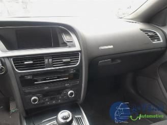 Audi 50 A5 Sportback (8TA), Liftback, 2009 / 2017 2.0 TDI 16V picture 25