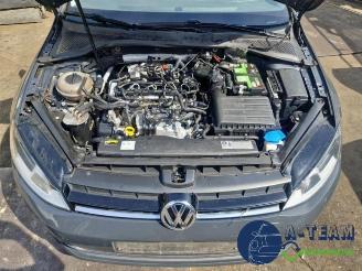 Volkswagen Golf Golf VII Variant (AUVV), Combi, 2013 / 2021 1.6 TDI BlueMotion 16V picture 4