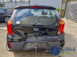 Kia Picanto Picanto (TA), Hatchback, 2011 / 2017 1.0 12V picture 14