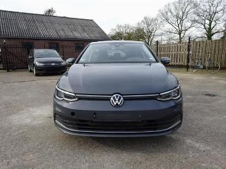 Volkswagen Golf Golf VIII (CD1), Hatchback, 2019 1.5 TSI 16V picture 1