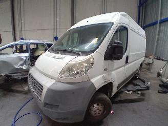 occasione autovettura Fiat Ducato Ducato (250) Van 2.3 D 120 Multijet (F1AE0481D) [88kW]  (07-2006/...) 2007/4