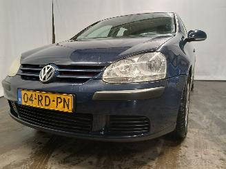 Coche accidentado Volkswagen Golf Golf V (1K1) Hatchback 1.4 16V (BCA) [55kW]  (10-2003/05-2006) 2005/3