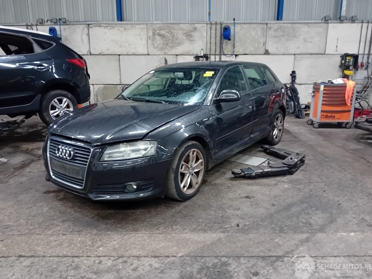 Audi A3 A3 Sportback (8PA) Hatchback 5-drs 1.4 TFSI 16V (CAXC) [92kW]  (09-200=
7/03-2013)