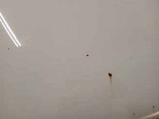 BMW 1-serie 1 serie (E81) Hatchback 3-drs 118i 16V (N43-B20A) [105kW]  (09-2006/12=
-2011) picture 22