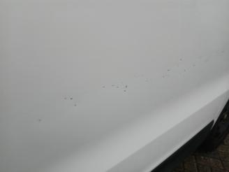 Opel Vivaro Vivaro Van 1.6 CDTi BiTurbo 125 (R9M-452(R9M-D4)) [92kW]  (03-2016/12-=
2019) picture 20