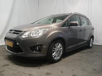 Ford Grand C-Max Grand C-Max (DXA) MPV 1.0 Ti-VCT EcoBoost 12V 125 (M1DA(Euro 5)) [92kW=
]  (10-2012/06-2019) picture 3