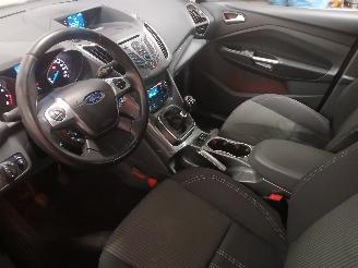 Ford Grand C-Max Grand C-Max (DXA) MPV 1.0 Ti-VCT EcoBoost 12V 125 (M1DA(Euro 5)) [92kW=
]  (10-2012/06-2019) picture 12