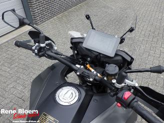 QJMotor SRT 800 SX  picture 10