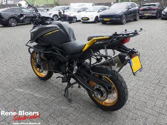 QJMotor SRT 800 SX  picture 4