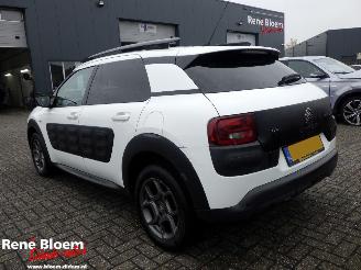 Citroën C4 cactus 1.2 Puretech Business Plus 110pk picture 2
