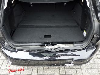 Ford Focus 1.0 Ecoboost Hybrid Titanium picture 14