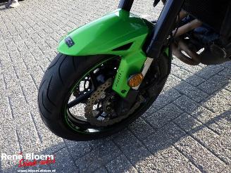 Kawasaki  Versys 650 picture 16