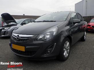 Vaurioauto  passenger cars Opel Corsa 1.2 Ecoflex Design Edition LPG 2014/4