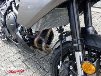 Kawasaki Versys 650 picture 17