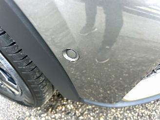 Renault Arkana 1.6 hybrid 145pk aut E-Tech - 68dkm nap - 1e eig - virtual - leer - stuurverw - front + line + side + park assist picture 115