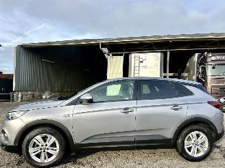 škoda osobní automobily Opel Grandland X 1.2 Turbo Online Edition 2018/9