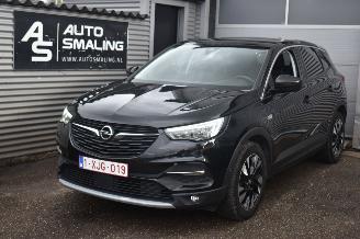 krockskadad bil auto Opel Grandland 1.5 Turbo X Innovation 130Pk *Navi/Leder/Stoelverwarming/Camera/Panorama 2020/1