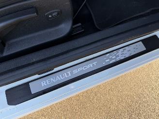 Renault Mégane RS COUPE 2.0 T SPORT | BREMBO | CAMERA | BOSE | CRUISE | LEER | GOED ONDERHOUDEN!!! picture 27