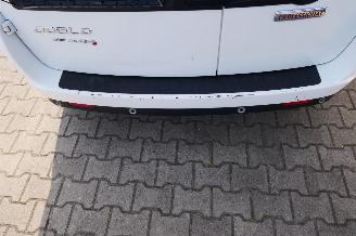 Fiat Doblo  picture 6
