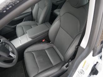 Tesla Model 3 LONG RANGE RWD PANORAMADAK LEER picture 10