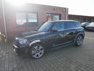 Avarii autoturisme Mini Countryman ALL 4 NORTHWOOD PANORAMADAK LEER LED 2021/8