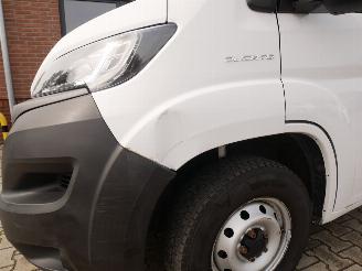 Fiat Ducato L3H2 picture 6