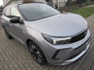 škoda osobní automobily Opel Grandland GrandLand X 1.2B 130pk AUT. INNOVATION  Climatronic HalfLeer Navi Camera Stoel/StuurVerwarming 2023/4