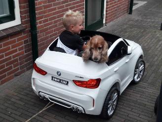 skadebil overig Alle  GESLOTEN t/m 4 Januari 2026 2026/1