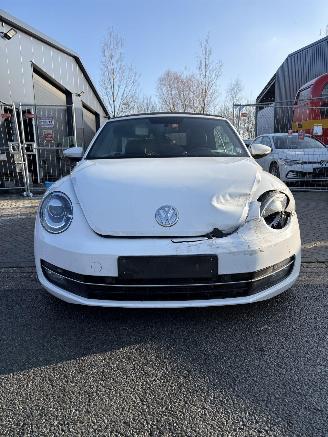 Volkswagen Beetle Cabriolet picture 2