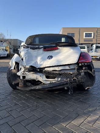 Volkswagen Beetle Cabriolet picture 5