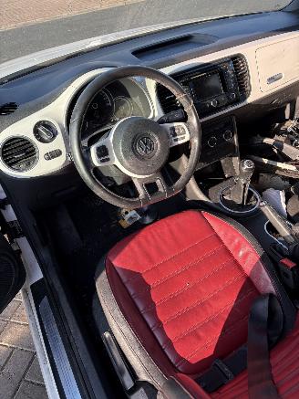 Volkswagen Beetle  picture 8