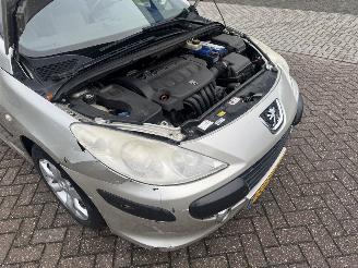 Peugeot 307 2.0 16V AUTOMAAT picture 14