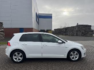 Volkswagen Golf 1.6 TDI 81Kw Clima Navi picture 5