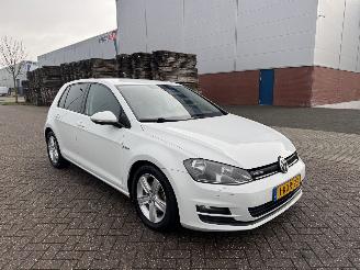 Volkswagen Golf 1.6 TDI 81Kw Clima Navi picture 4