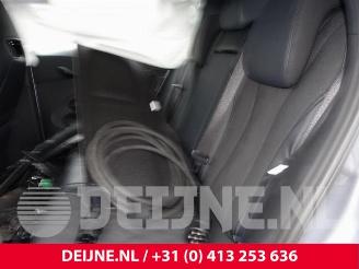 BYD Dolphin Dolphin, Hatchback 5-drs, 2021 60,4 kWh picture 34