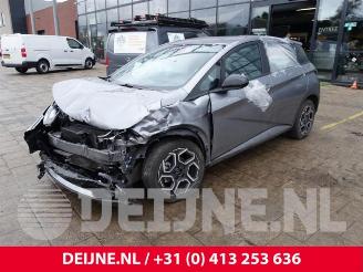 BYD Dolphin Dolphin, Hatchback 5-drs, 2021 60,4 kWh picture 3