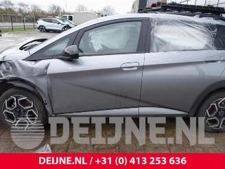 BYD Dolphin Dolphin, Hatchback 5-drs, 2021 60,4 kWh picture 16