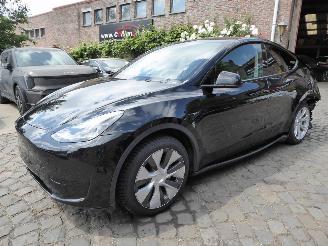 skadebil auto Tesla Model Y  2024/1