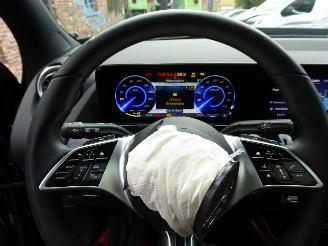Mercedes EQA 250+ picture 14