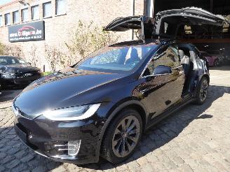 Tesla Model X Performance Dual picture 14